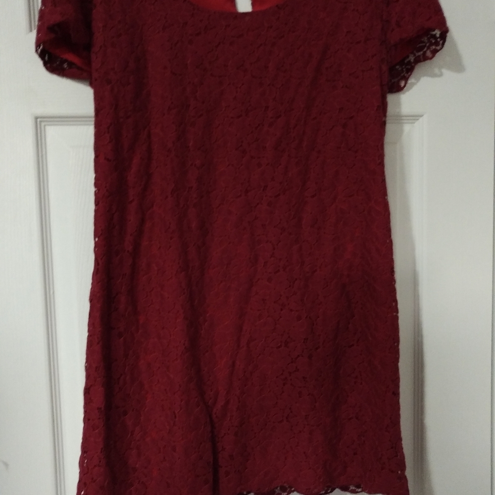 Talula L gorgeous lace overlay dress